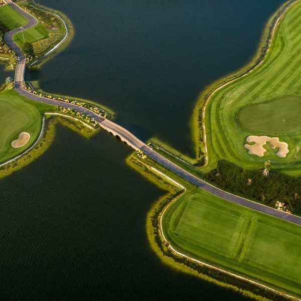 TẦM NHÌN ĐA SẮC